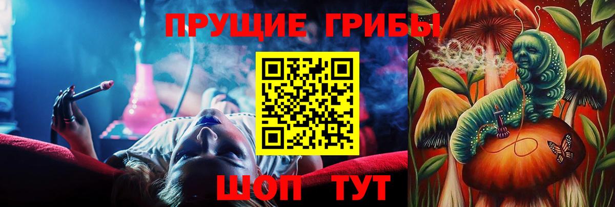 Галлюциногенные грибы GOLDEN TEACHER  Вход с VPN  Протвино 